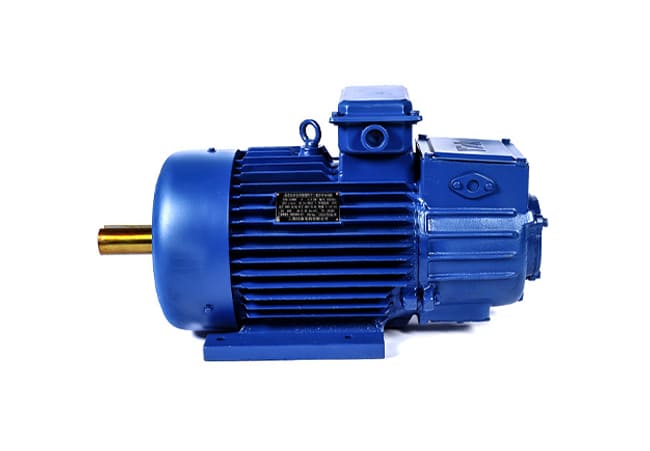 variable-frenquency-motor